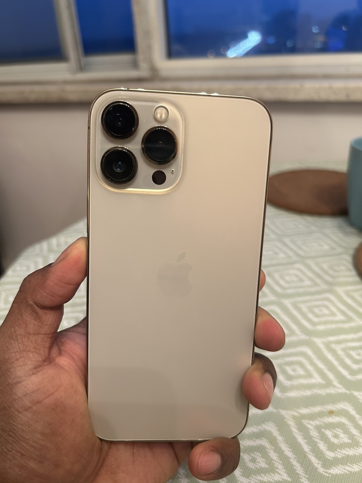 iPhone 13 Pro Max 256 GB