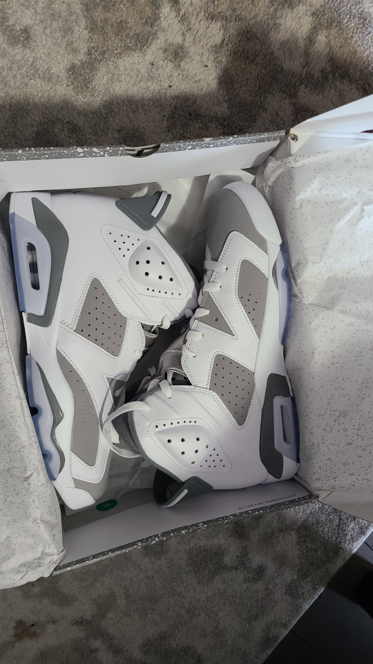 Jordan 6 "Cool Grey" (Size 13)