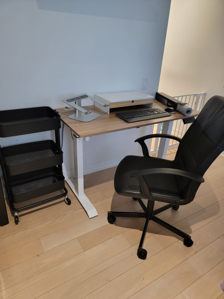 Home Office Setup (Standing Desk + other, see description)