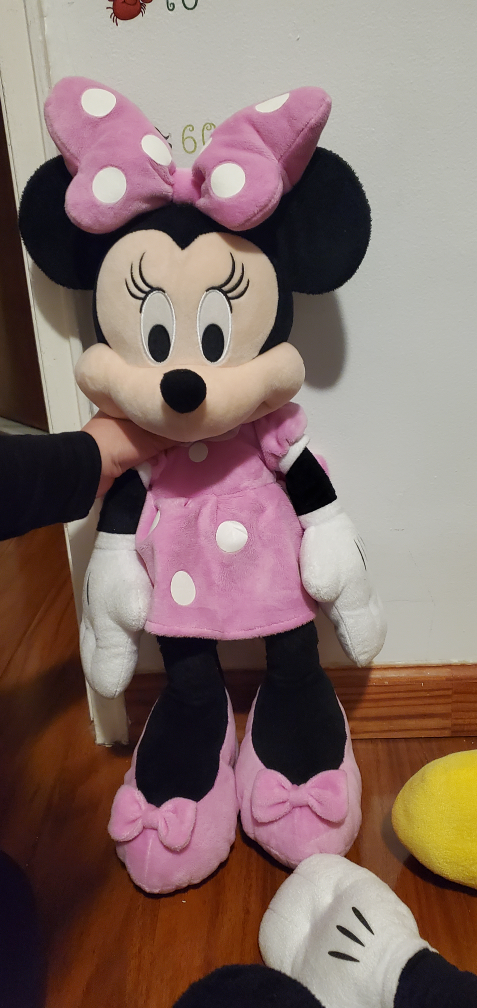 Micky and Minnie plus toys