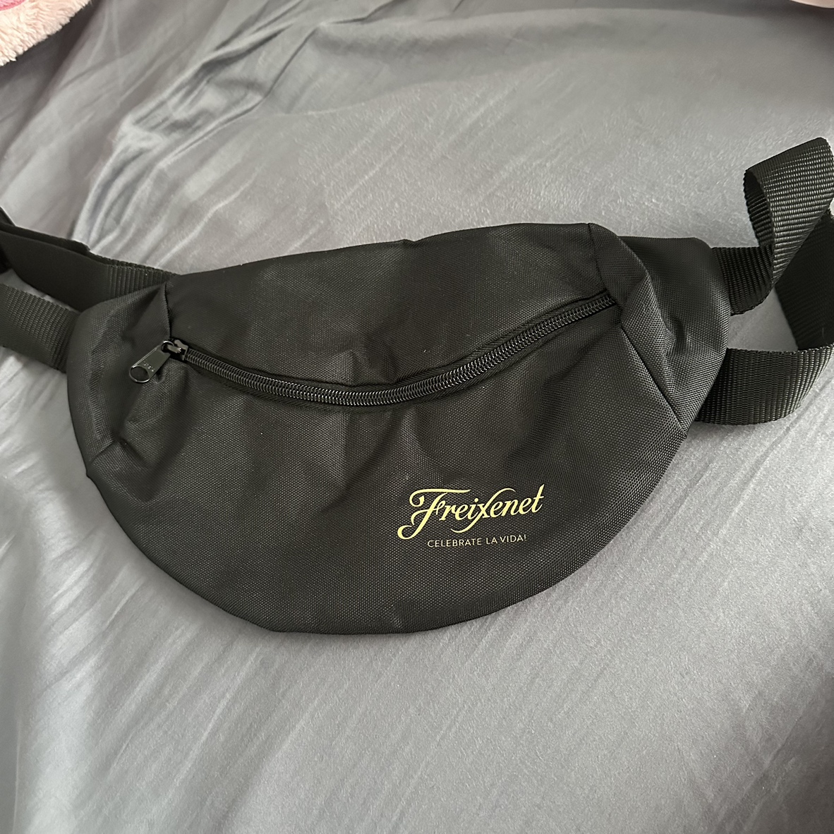 Fanny Pack #freecycle thumbnail