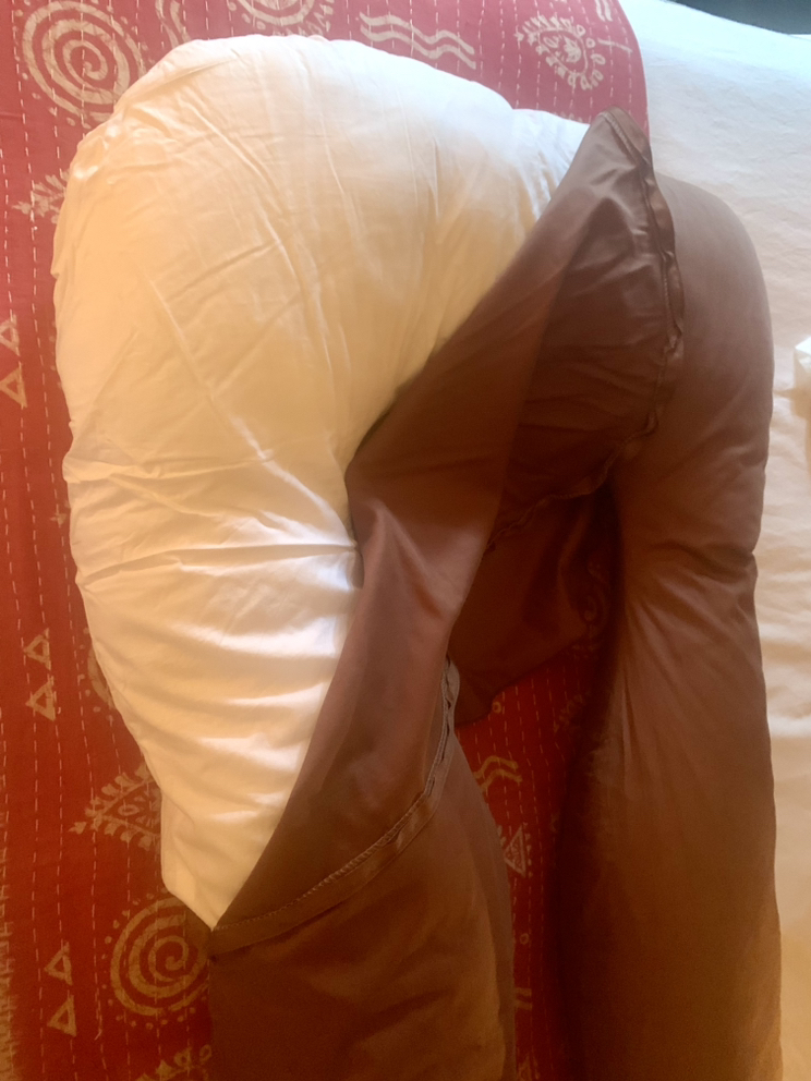 Samay Body Pillow / Maternity Pillow 🥕 image indicator(3)