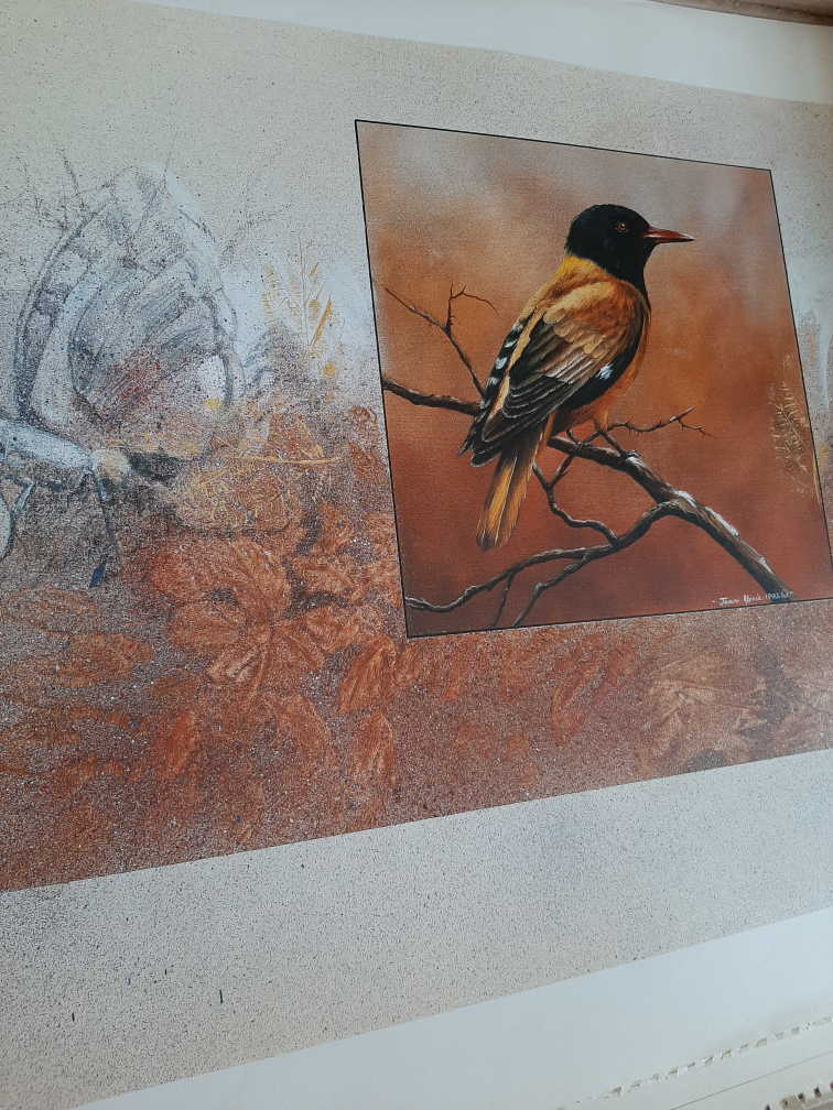 Animal and Bird pics thumbnail