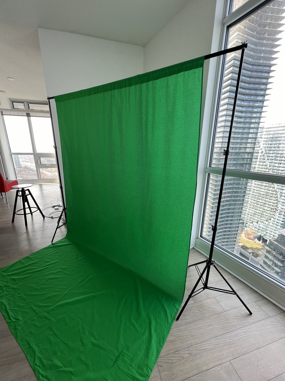 Green screen with 2 softbox lights - photo 3