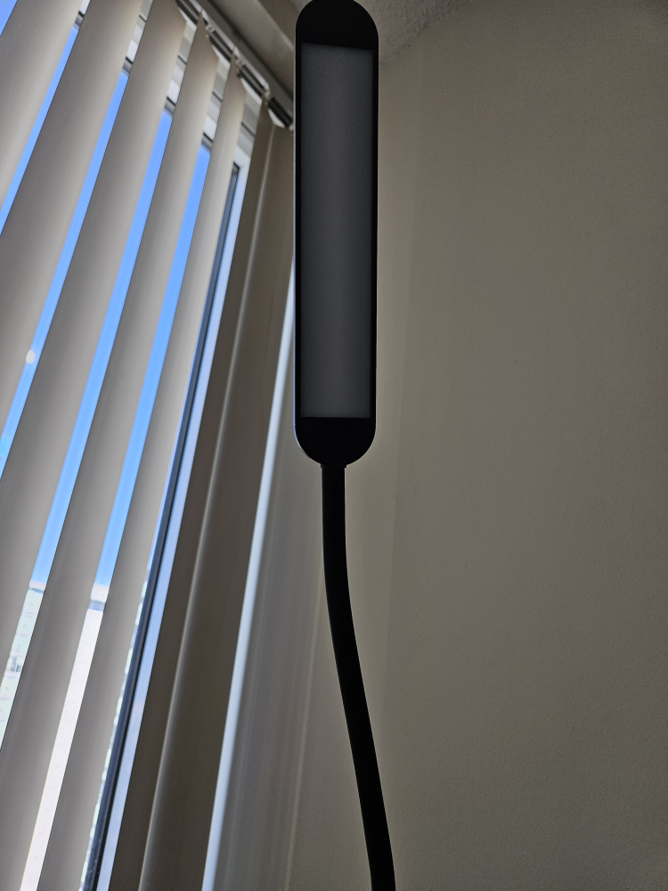 LED Floor Lamp