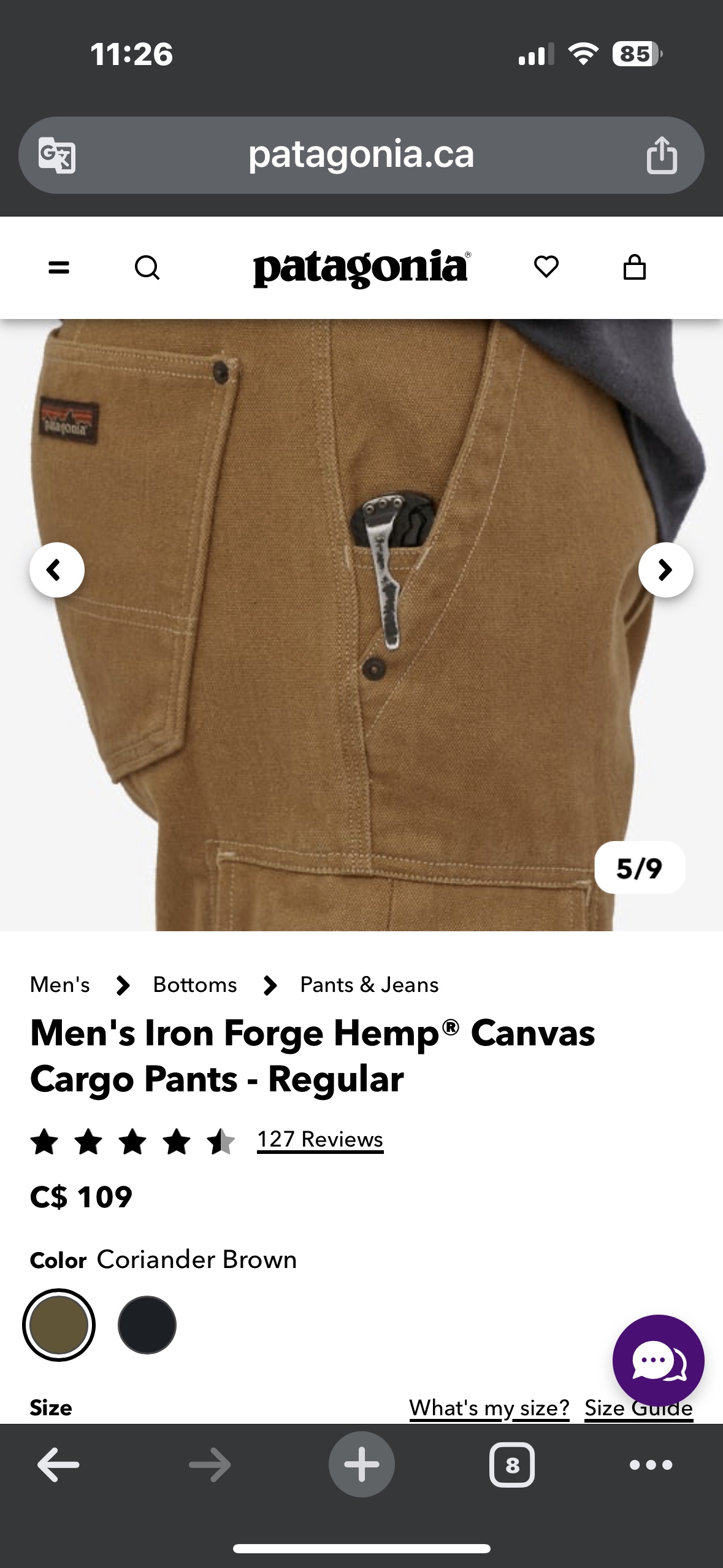 Patagonia Iron Forge Hemp Canvas Cargo Pants thumbnail