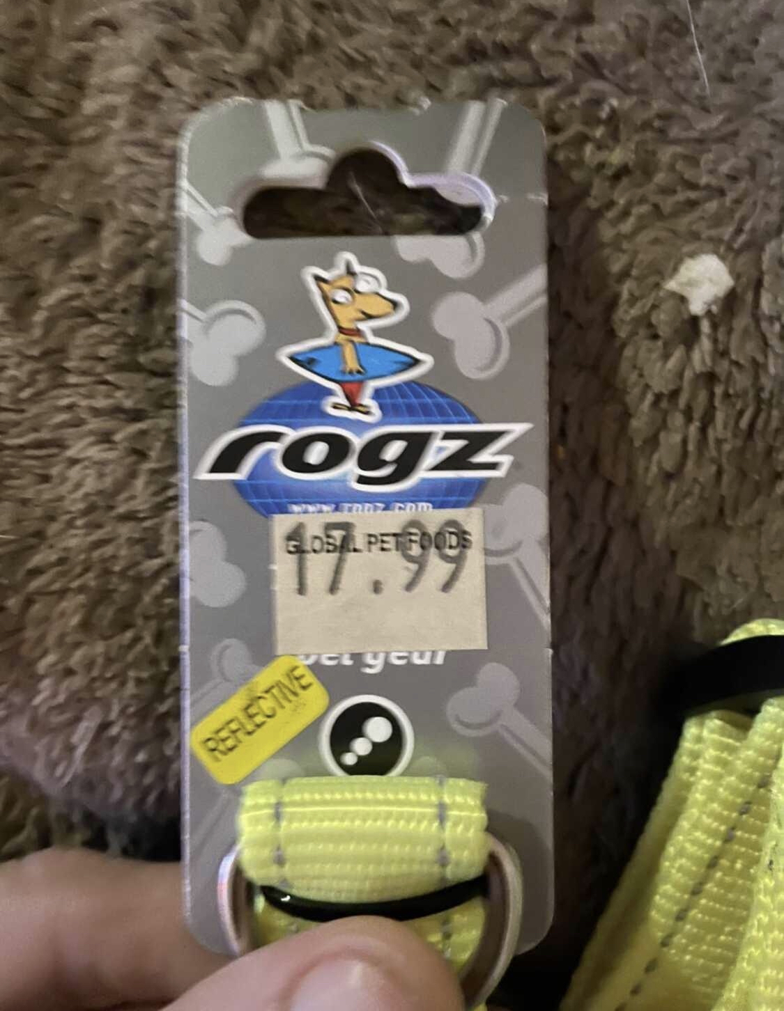 Ex-lg fluorescent dog harness image indicator(4)