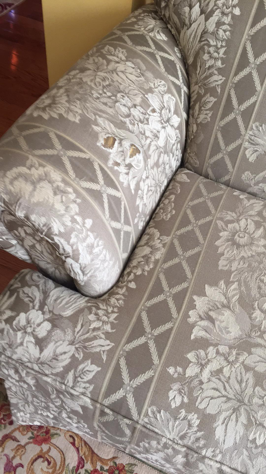FREE Vintage Two-seater Sofa - photo 2