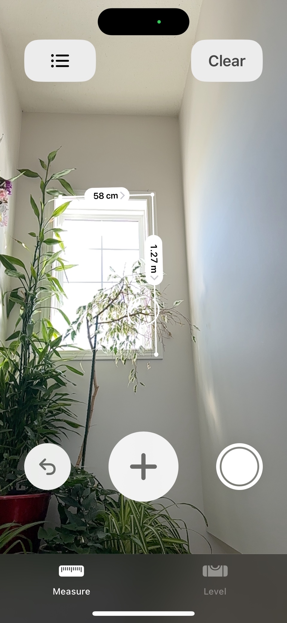 Plant