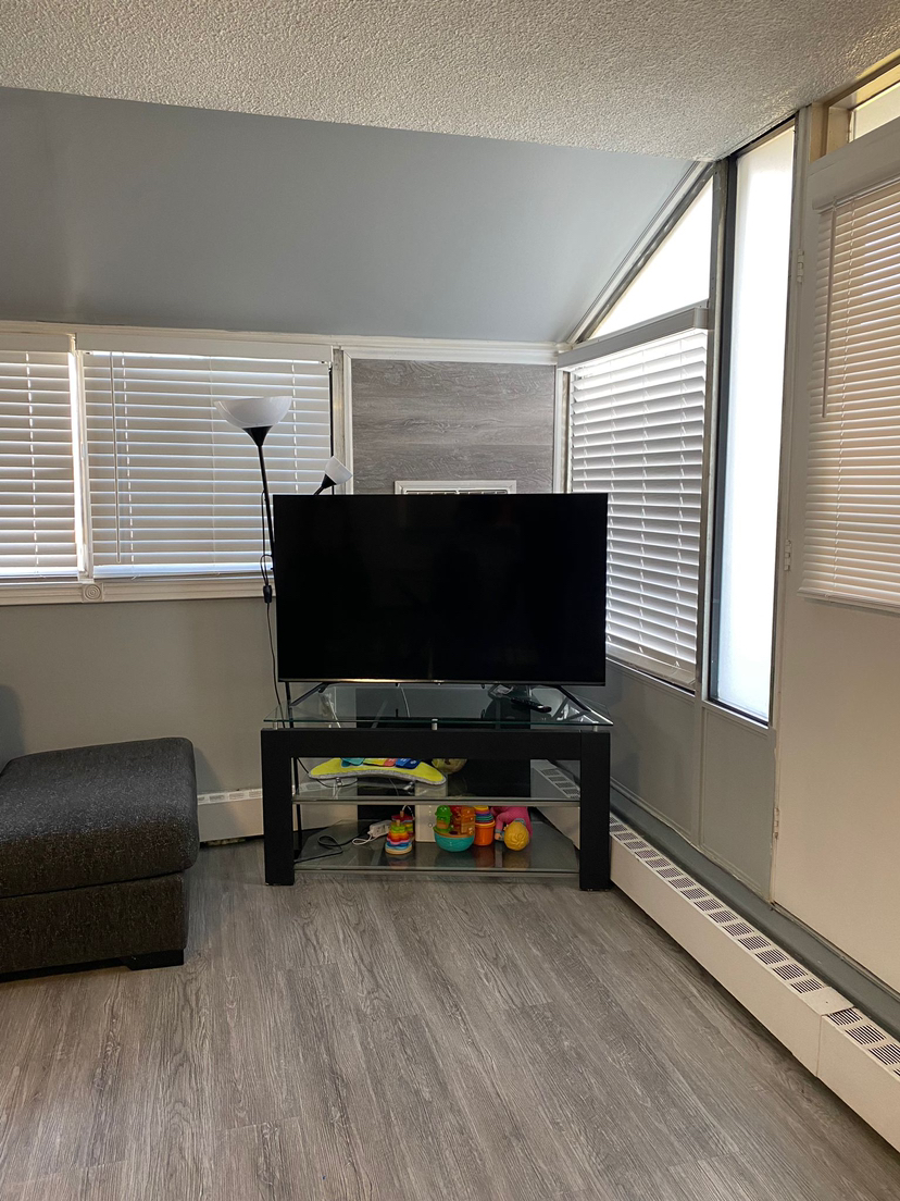 TV