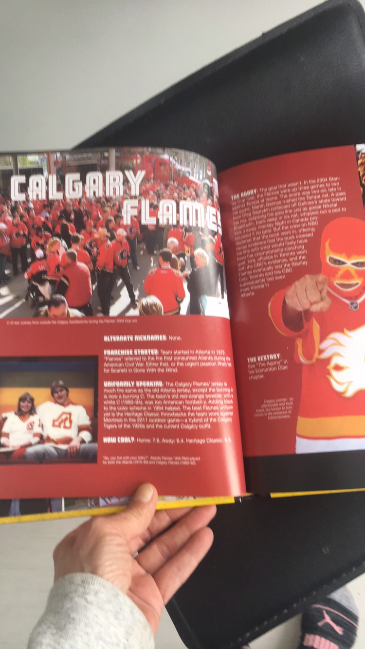 Stephen Cole  The Hockey Fan's Ultimate Hockey Book image indicator(5)