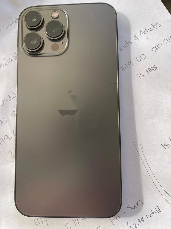 iPhone 13 Pro Max 256