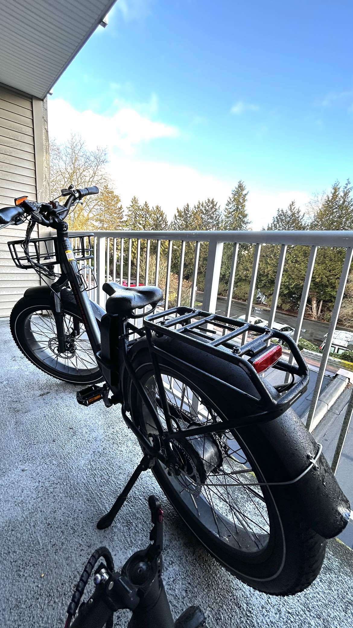 RadRover Step-Thru Electric Fat Bike Version 1 - photo 4