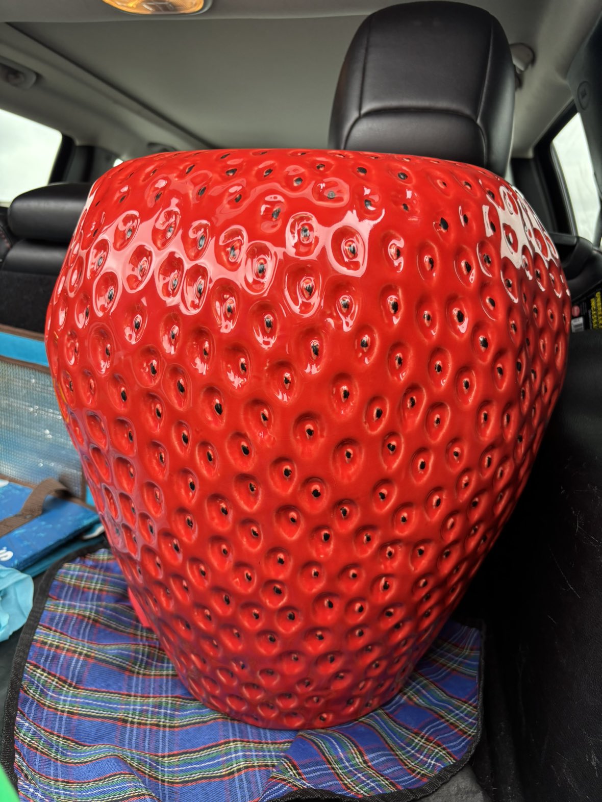 Rare Strawberry Stool/table