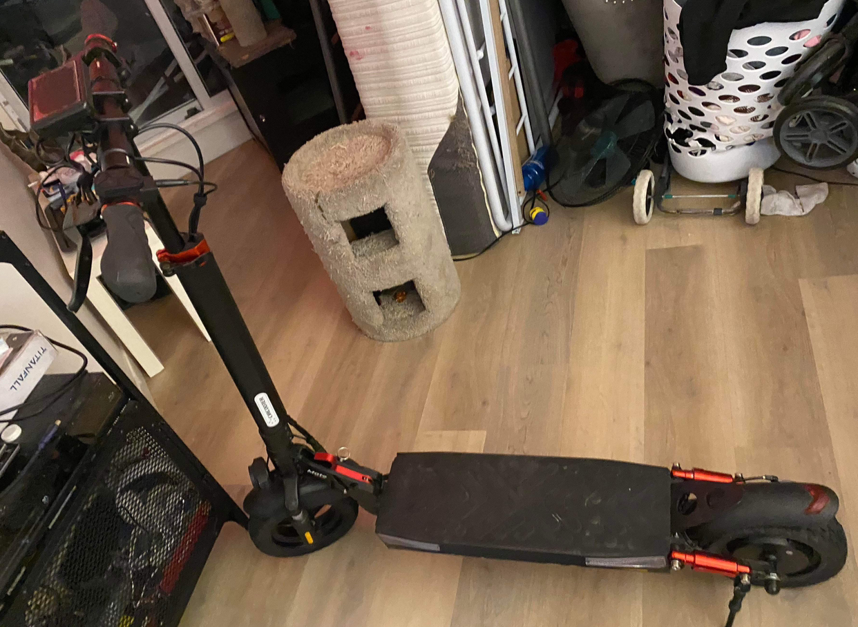 Circooter Mate 800W Adult Electric Scooter