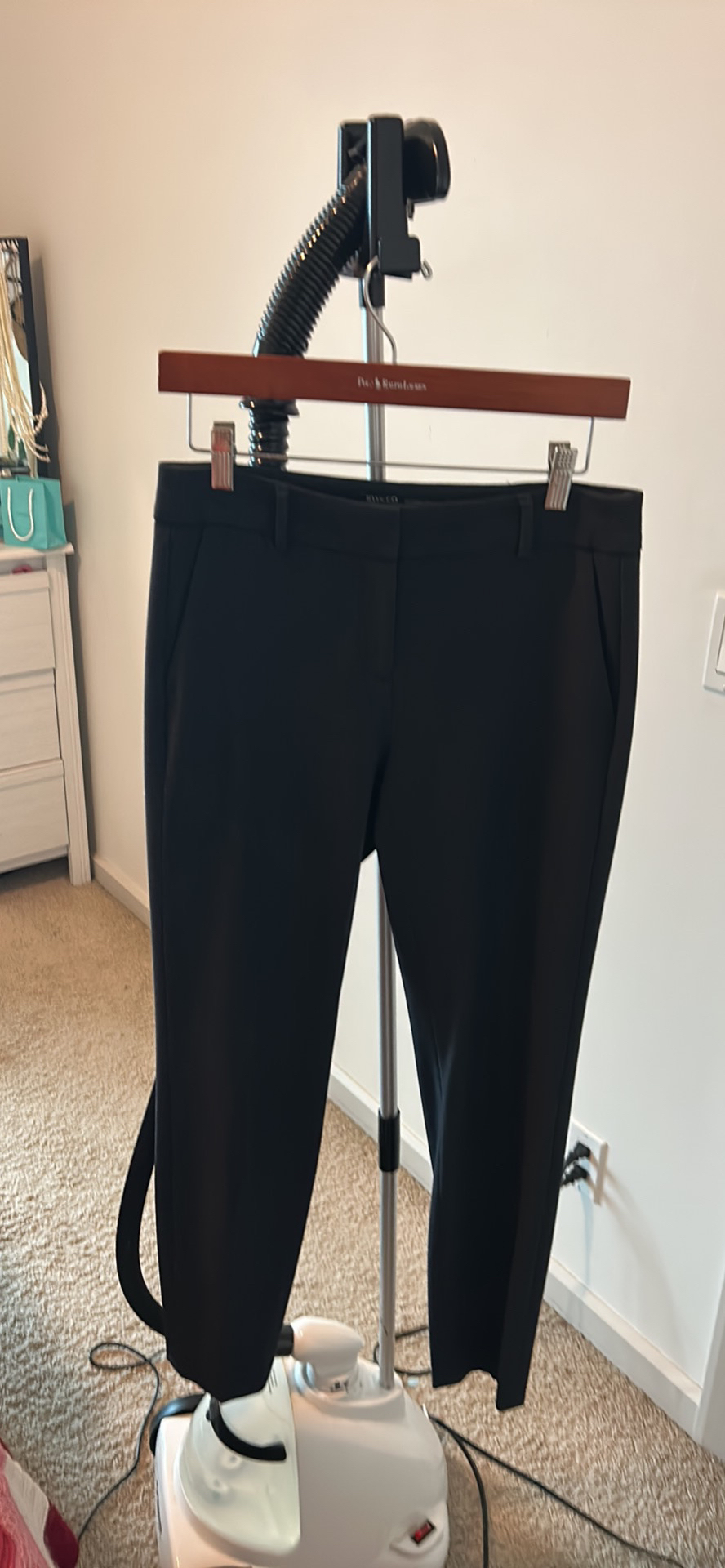 Dress pants