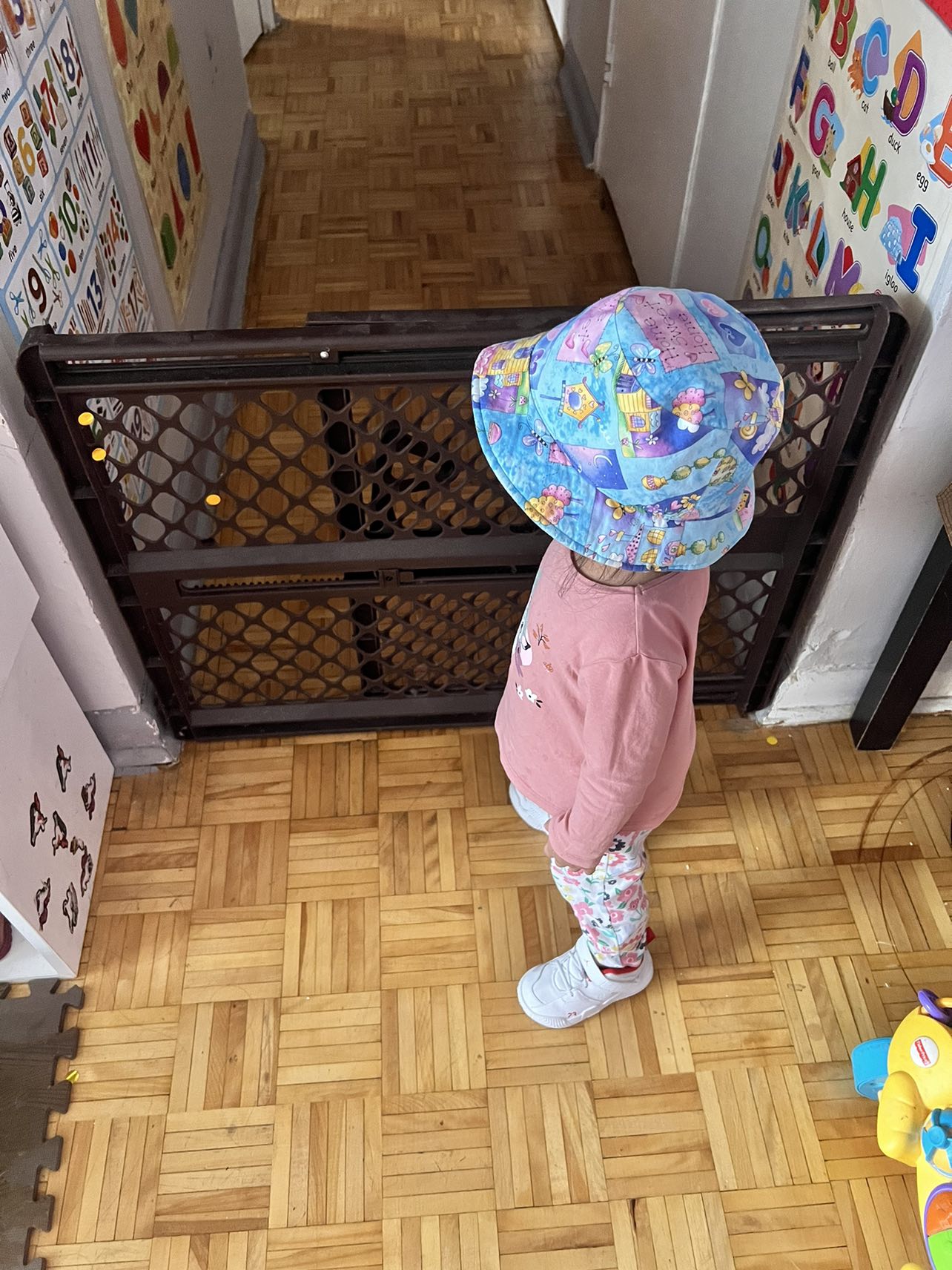 Kids Safety Barricade Gate indoor 🥕 image indicator(2)