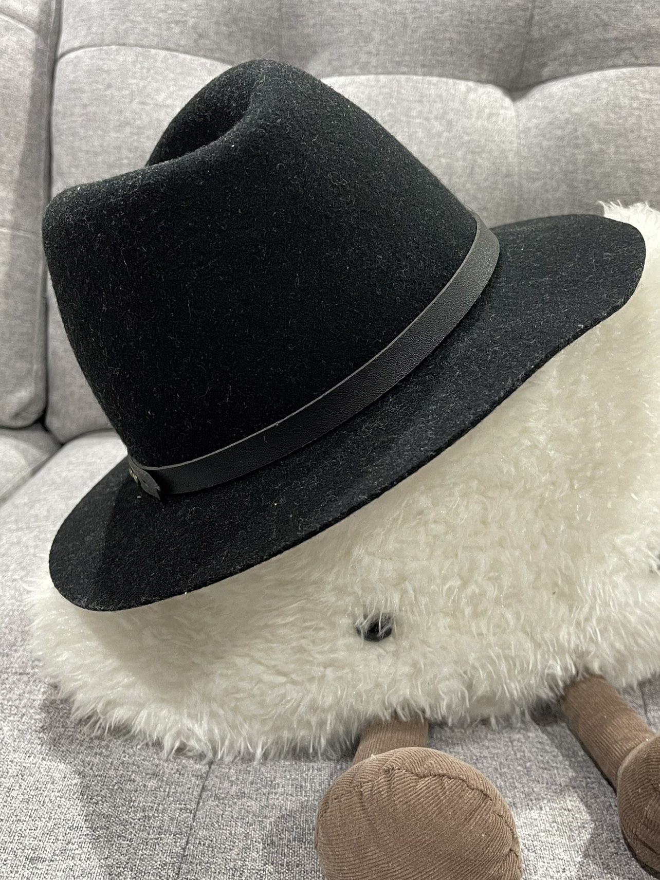 Fedora hats image indicator(2)