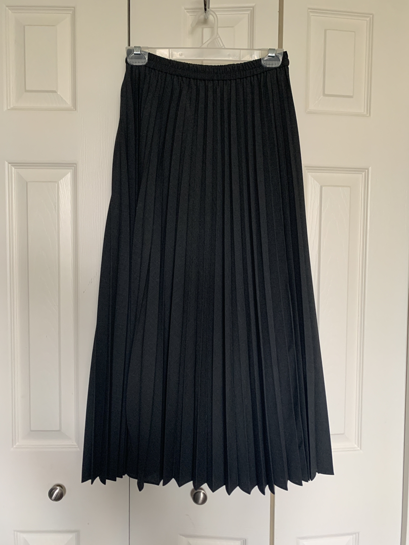 Pleated Long Skirt thumbnail