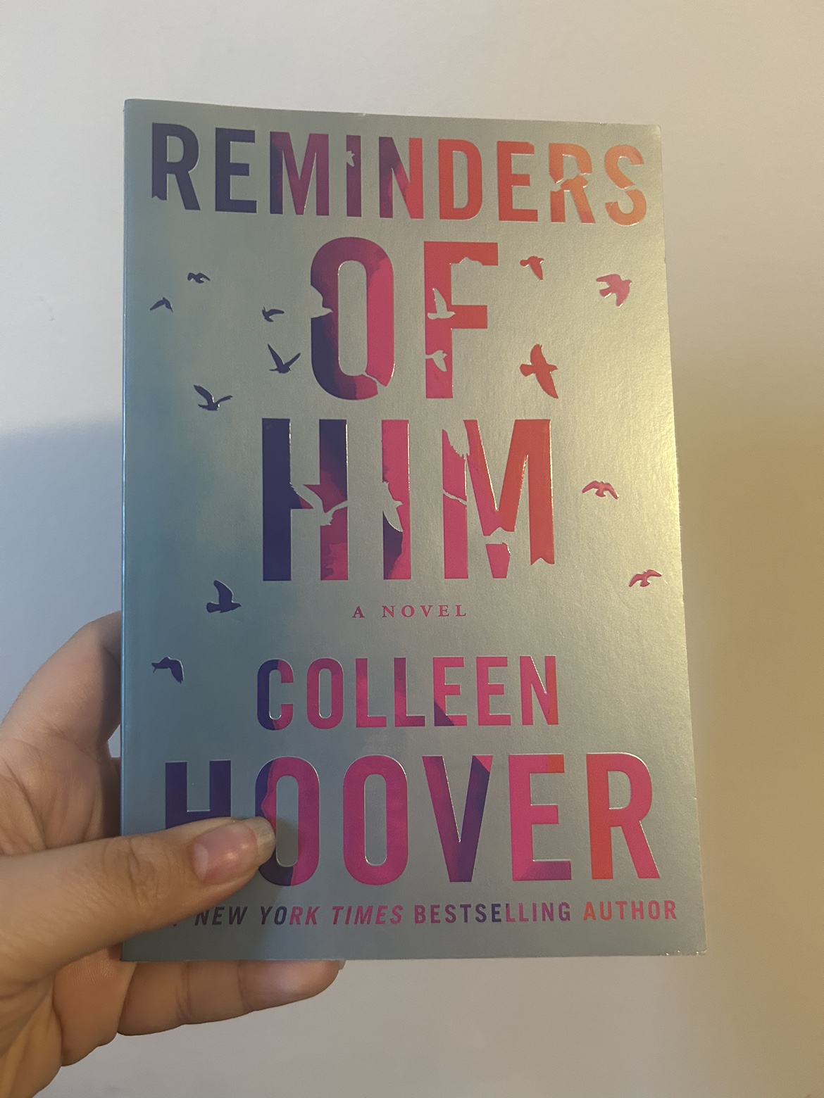 Reminders of Him Book thumbnail