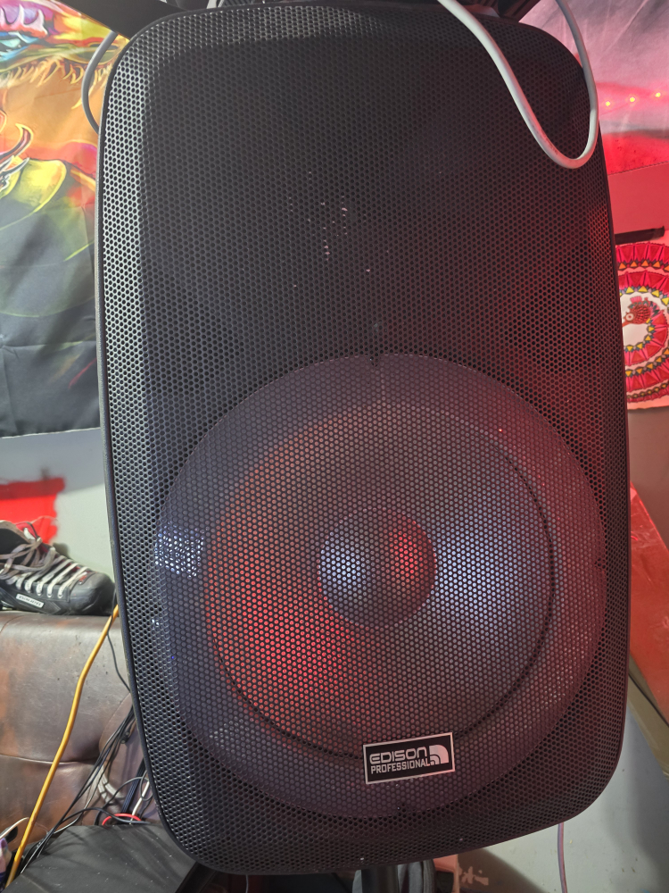 edison profession bluetooth plug in speaker - photo 2