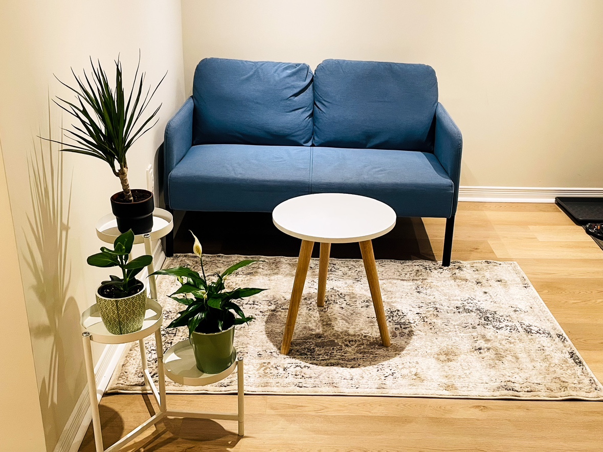 IKEA Love Seat Sofa