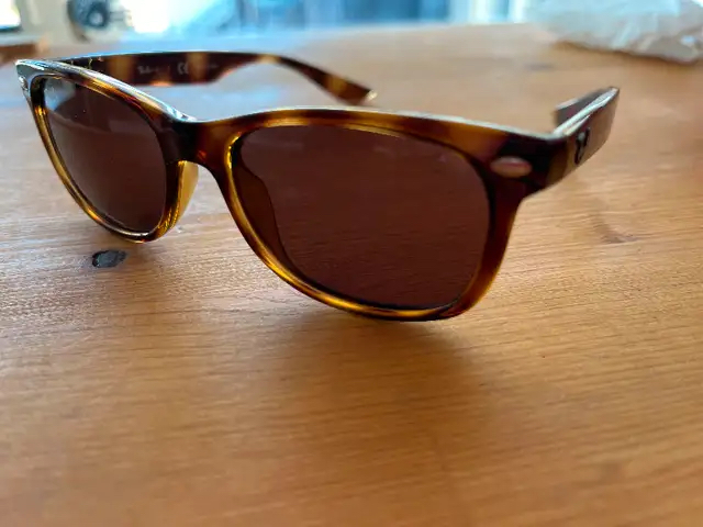 Youth Ray Ban Wayfarer Sunglasses - photo 2