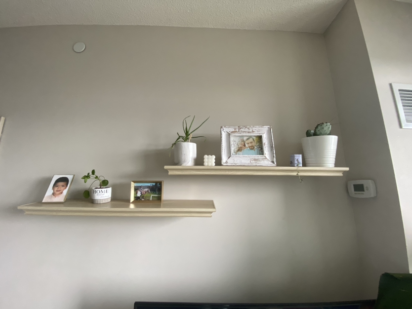 Shelves x2