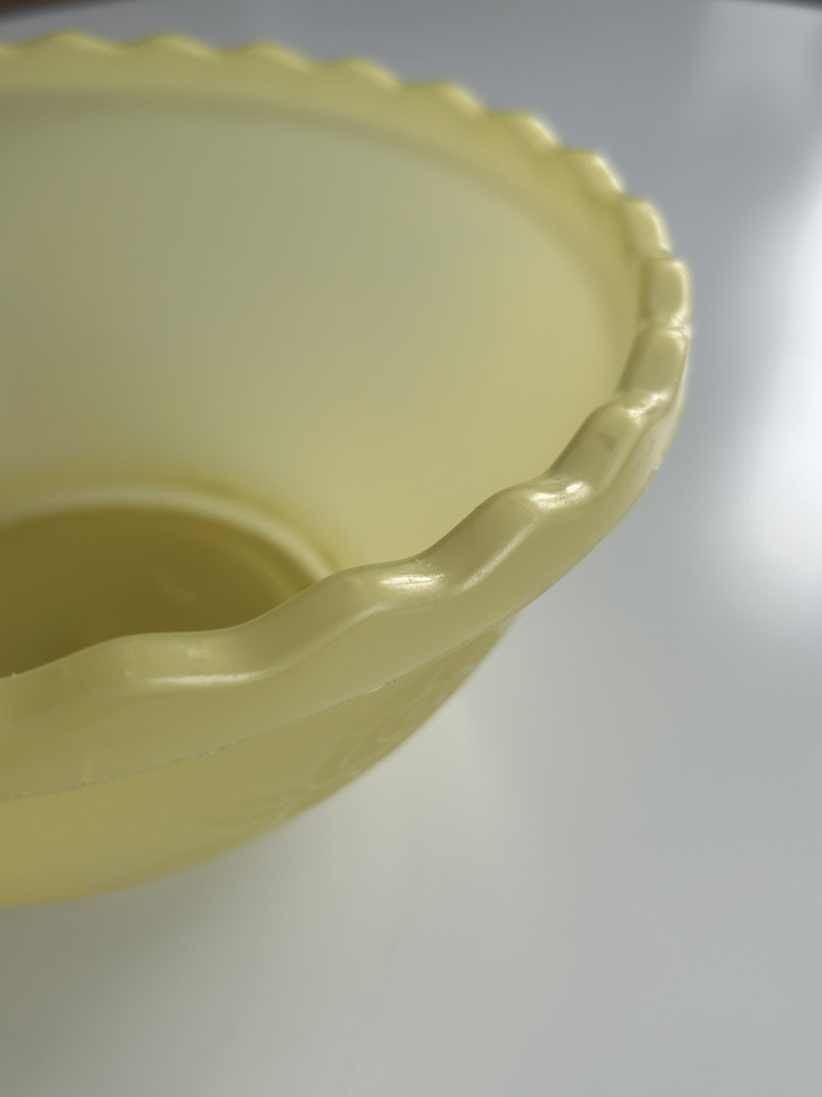 Plastic Bowl 🥕 - photo 3