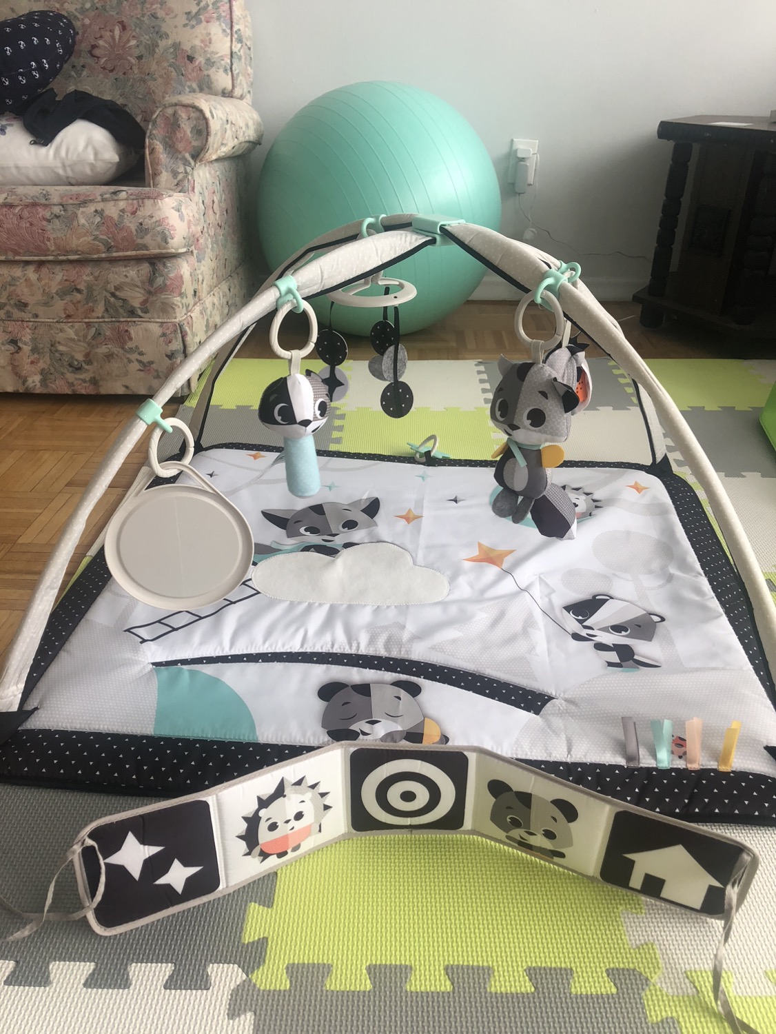 Play mat/ Tummy time mat image indicator(3)