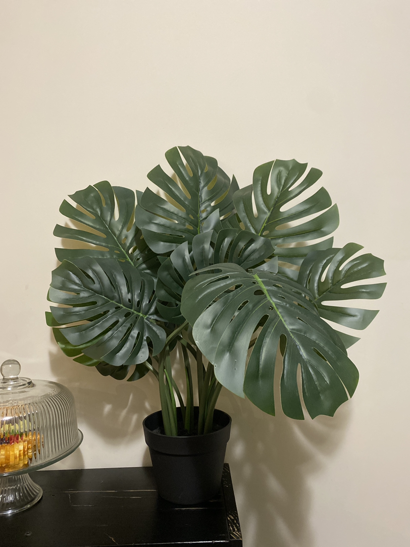 Plant decoration