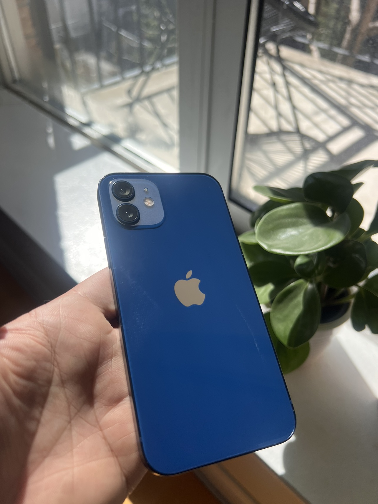 iPhone 12 64gb Blue Unlocked