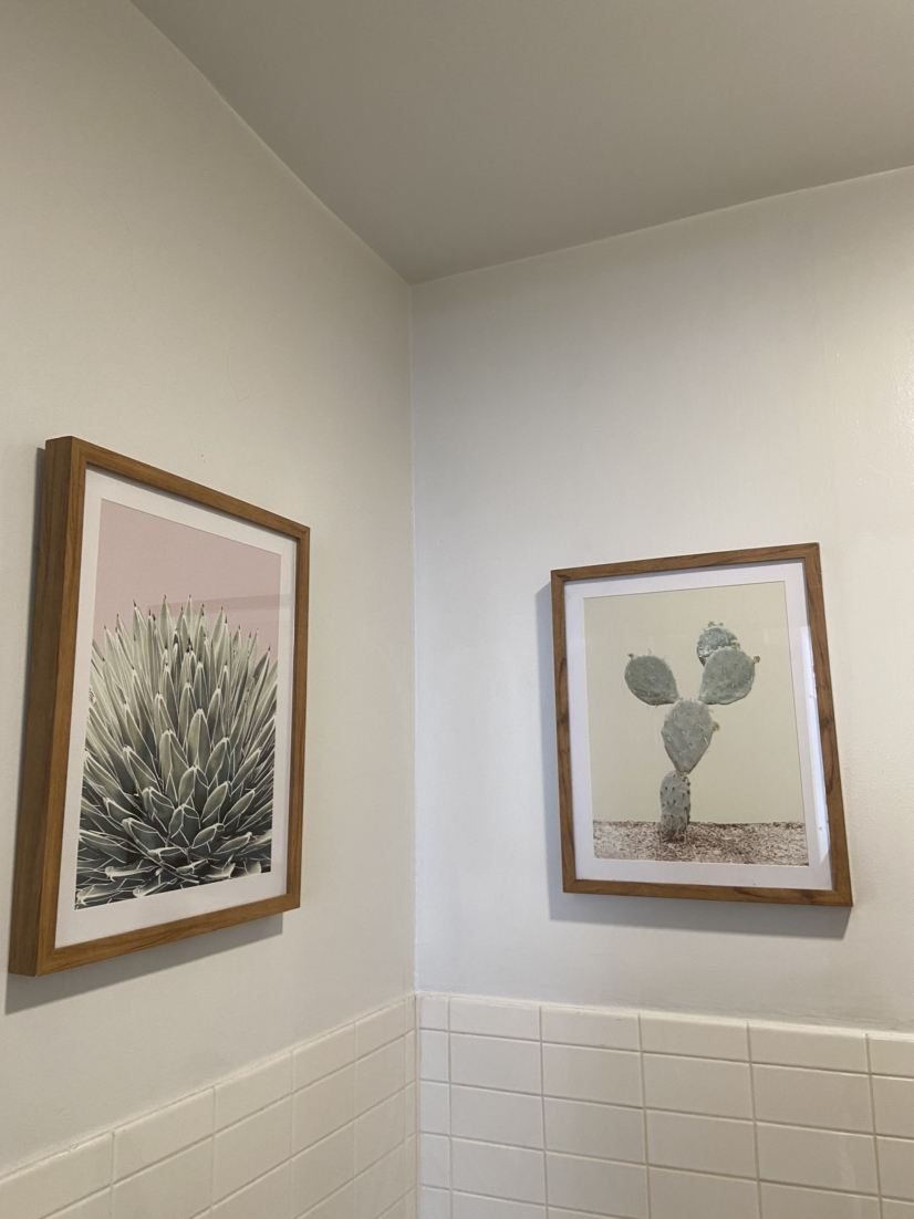 Succulent Wall Art