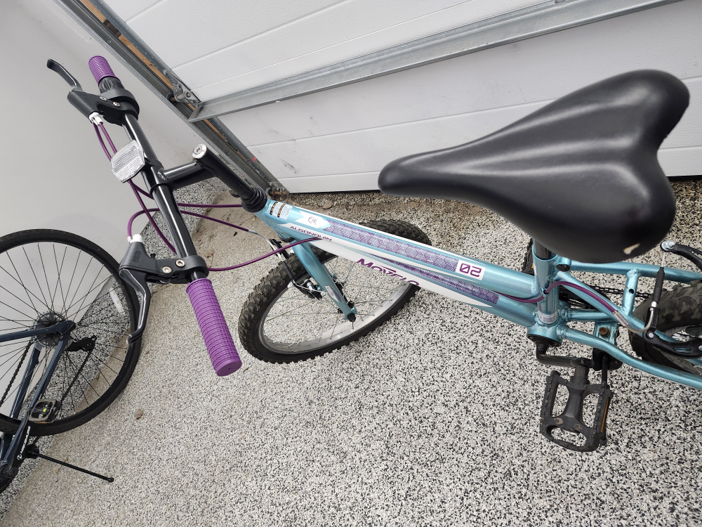 #freecycle Bicycle 20-inch - photo 2
