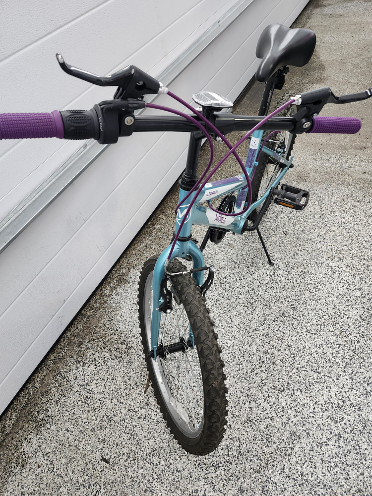 #freecycle Bicycle 20-inch - photo 3