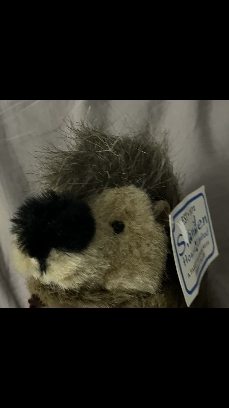 Looking To Trade Hedgehog Plushie🦔 image indicator(5)