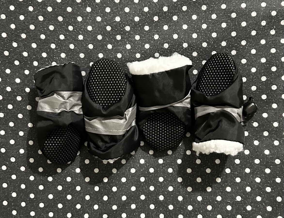 New shoes for small dog image indicator(3)