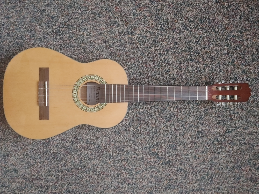 New Dever Guitar🎸