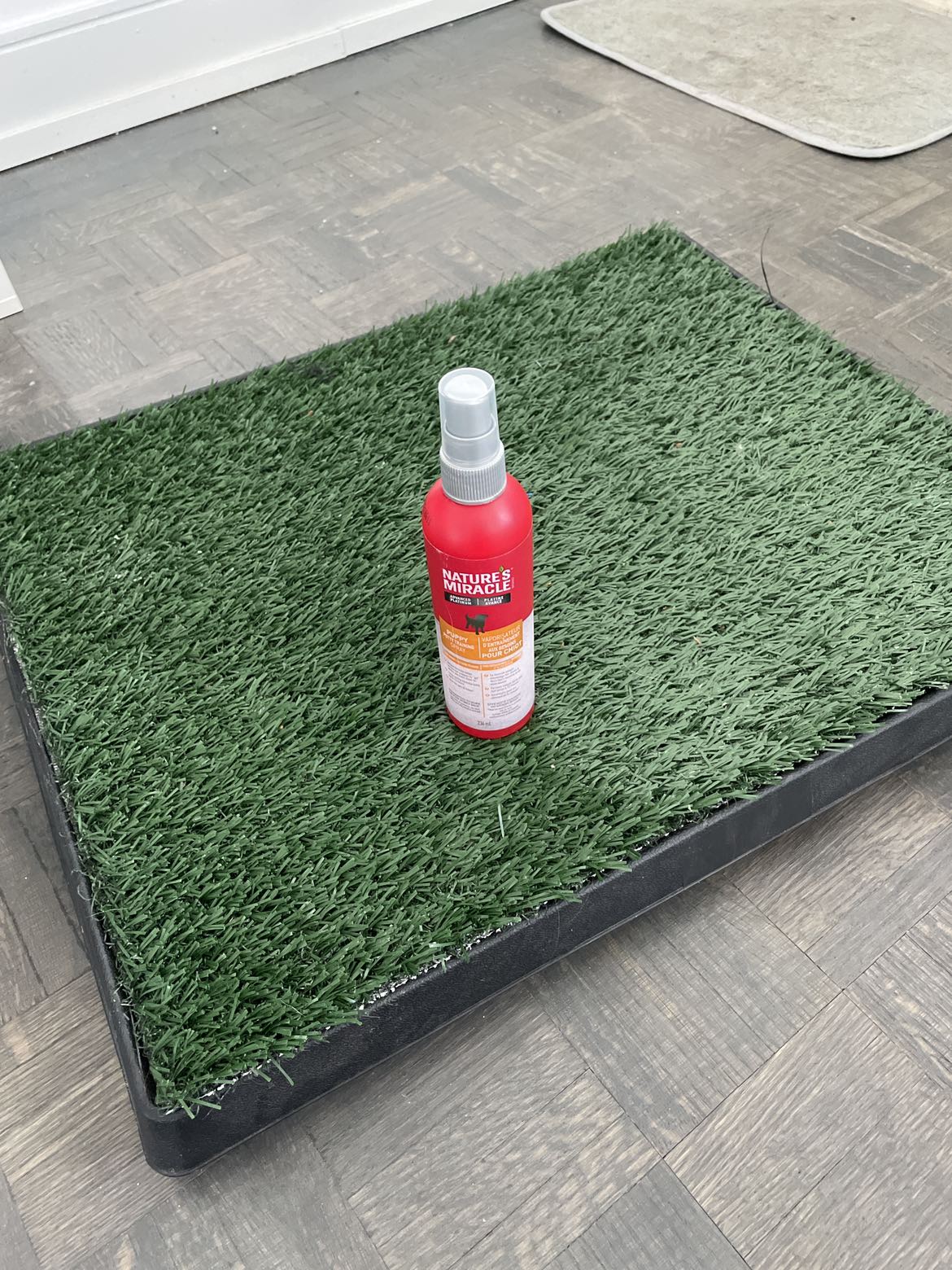 Artificial grass trainining for dogs and SPRAY thumbnail