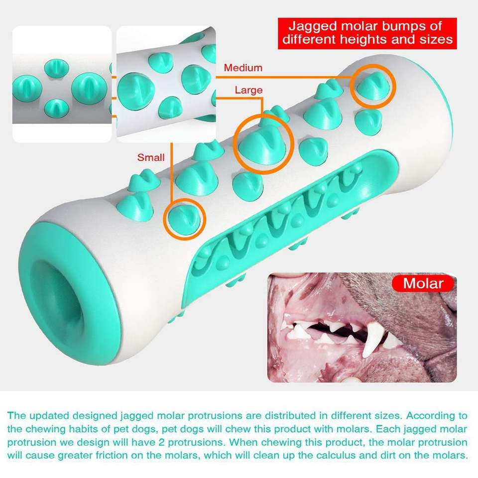 Chew Dog Toy and Toothbrush - photo 4