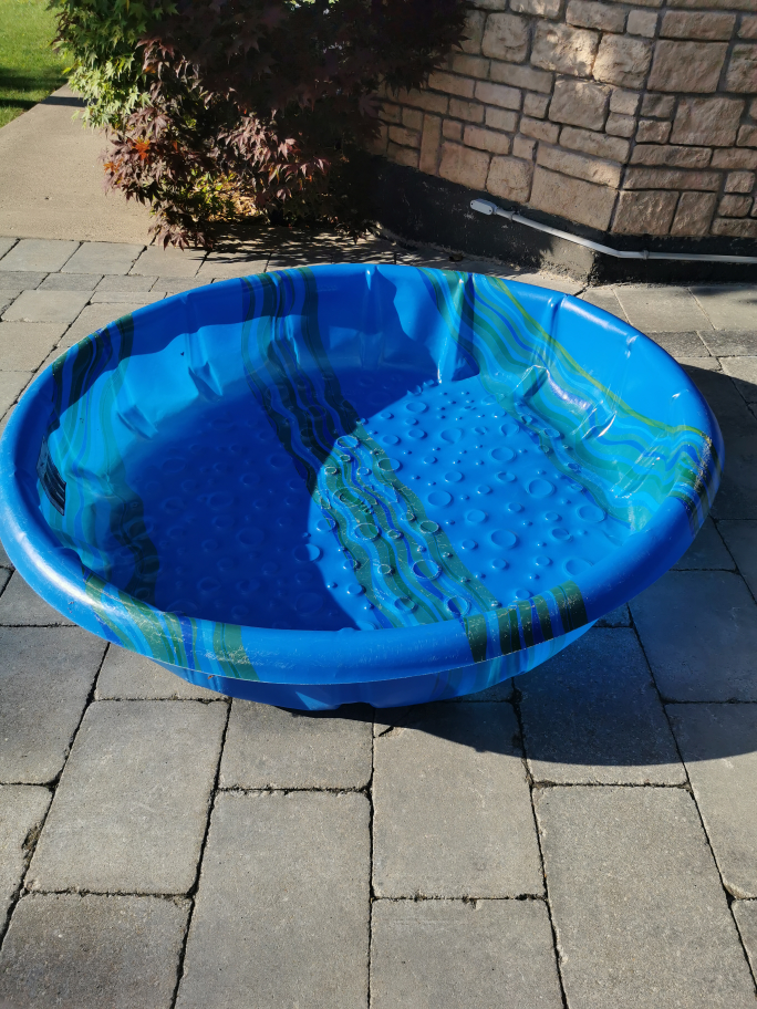 Kids Pool