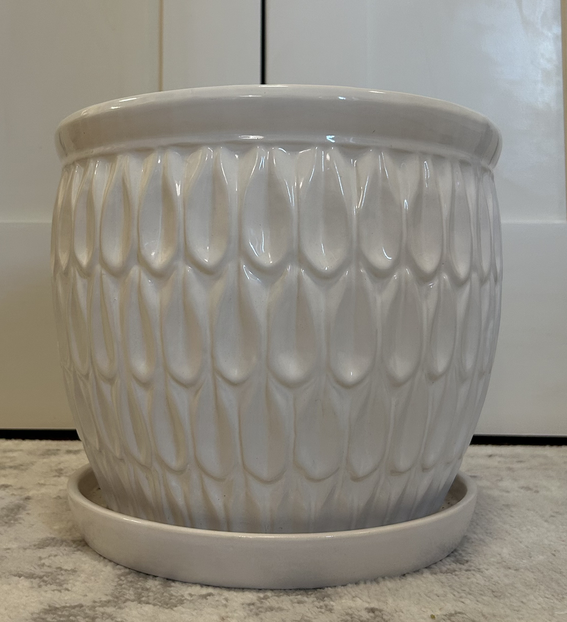 Tree/Plant pot