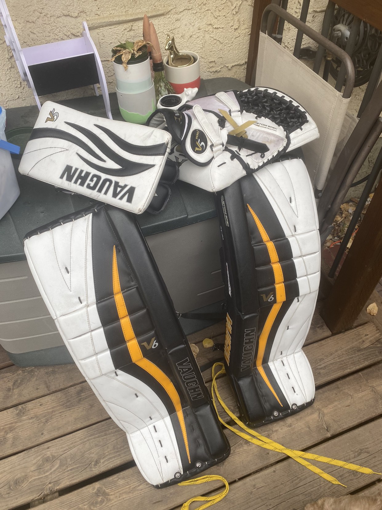 Vaughn goalie set