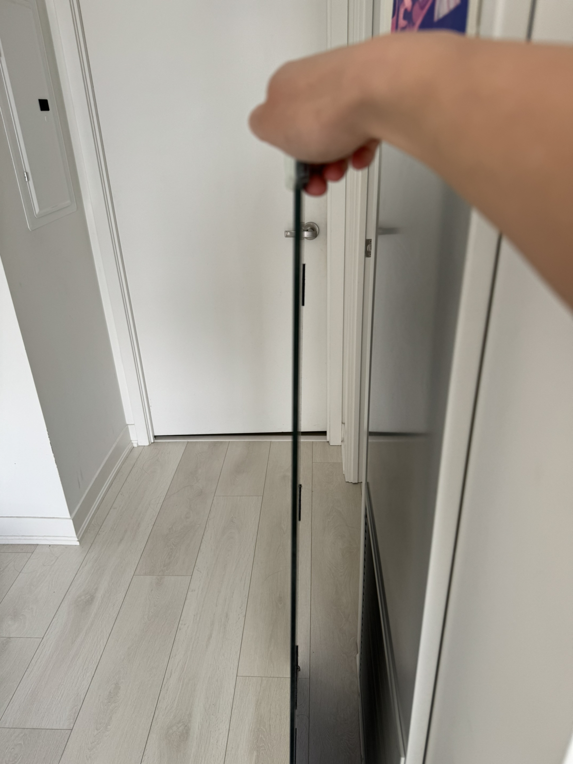 Body Mirror image indicator(2)