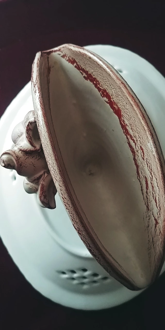 🥕Vintage Italian Napkin Holder/Decor image indicator(2)