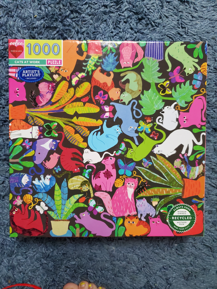 1000 piece puzzle thumbnail