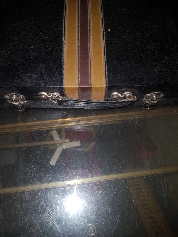 backgammon  game with case