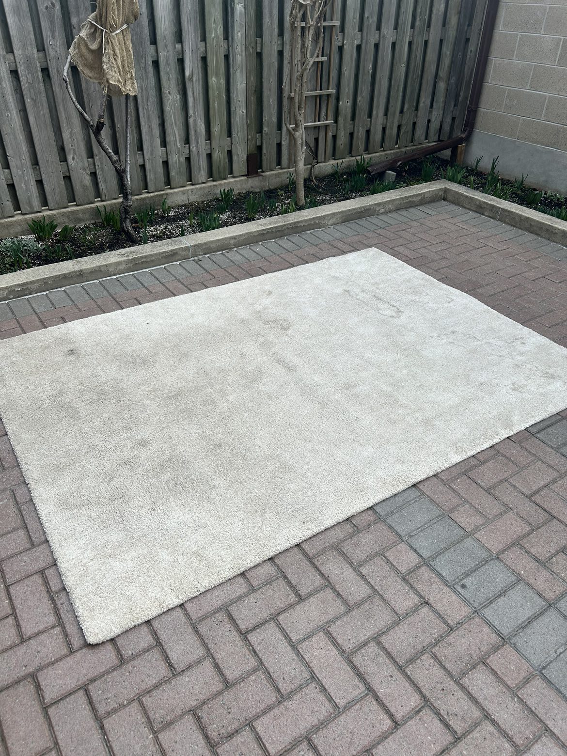 FREE Area Rug thumbnail