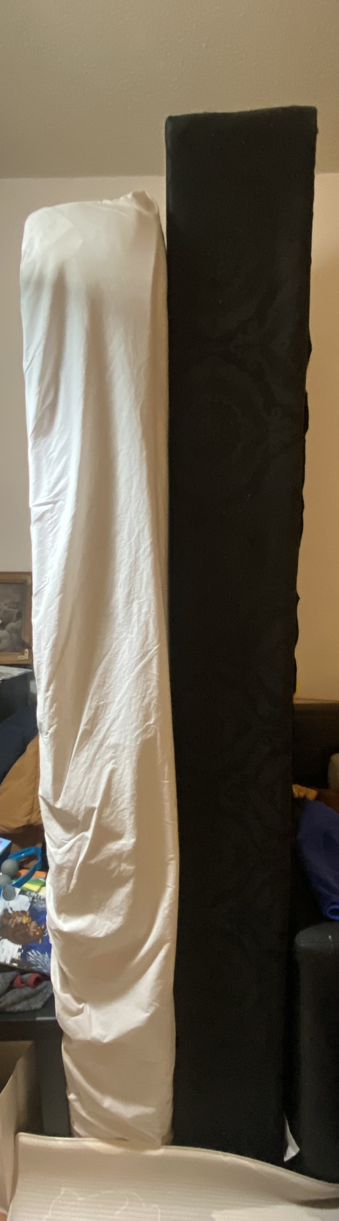 Single Mattress and mattress box for FREE