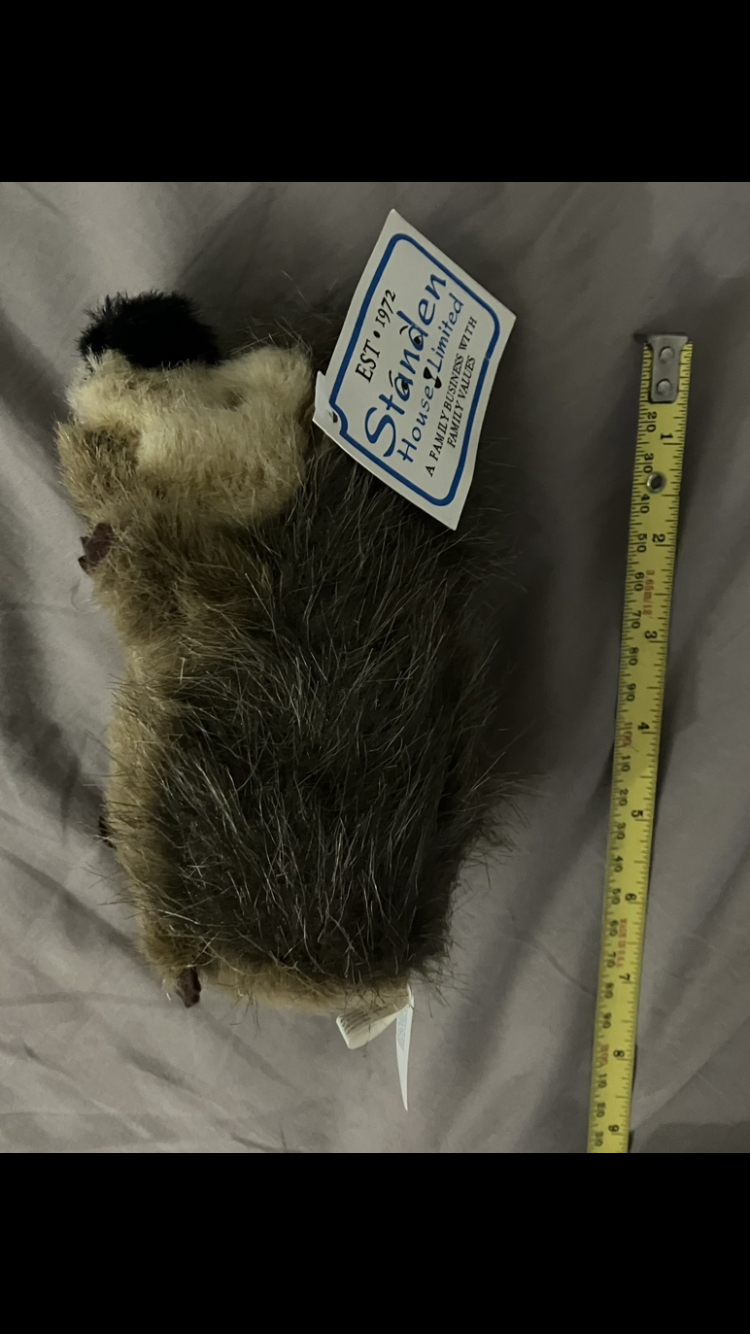 Looking To Trade Hedgehog Plushie🦔 image indicator(4)